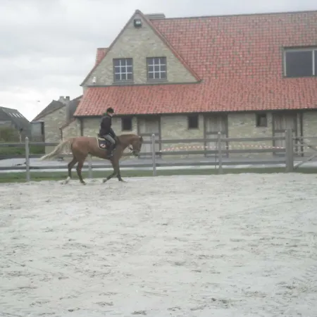 House Zoute Stables 125sqm In 5 Ha Near Seaside In *
