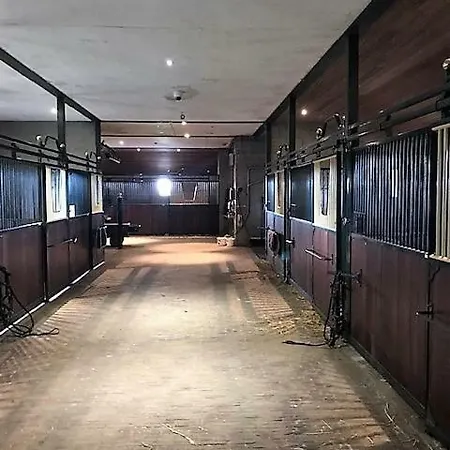 House Zoute Stables 125sqm In 5 Ha Near Seaside In 펜션